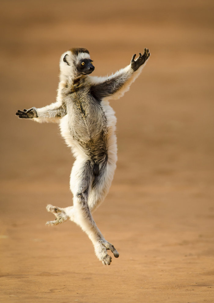 Муж дал денюжку на новую шмоточку, и ты бежишь радостная в магазин