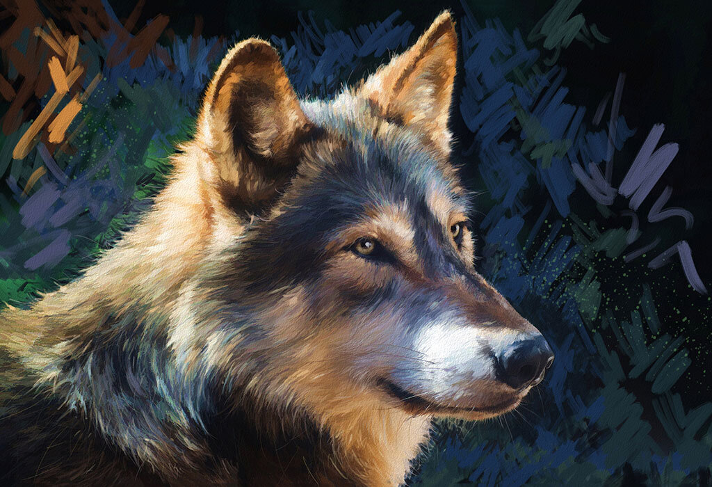 В жизни люди, рожденные в чертоге Волка, наделены необычайной храбростью и любознательностью.
