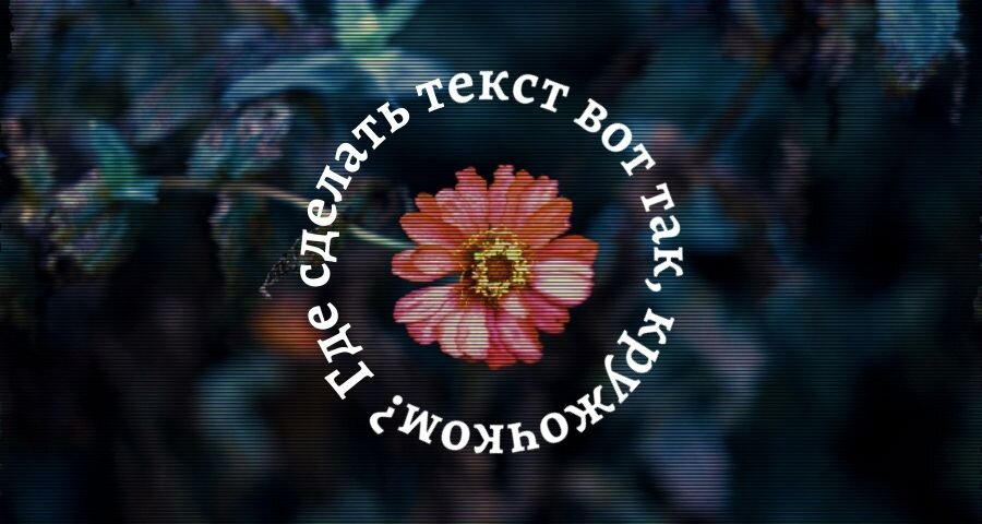 Моя картинка