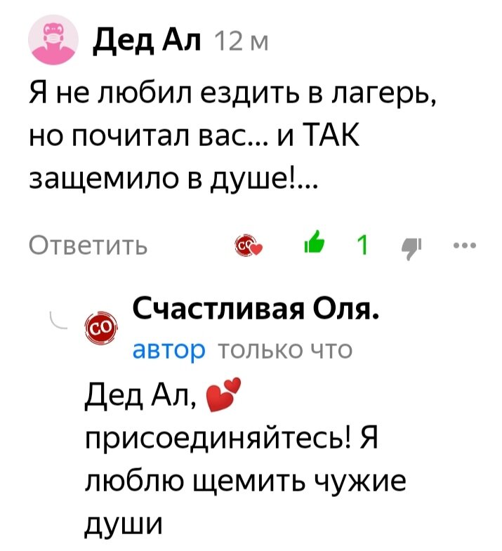 Скриншот комментария под одной из моих публикаций. 
