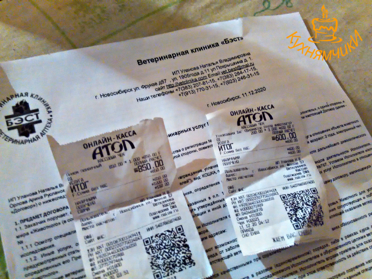 Пока животное умирает оформляем бумаги.