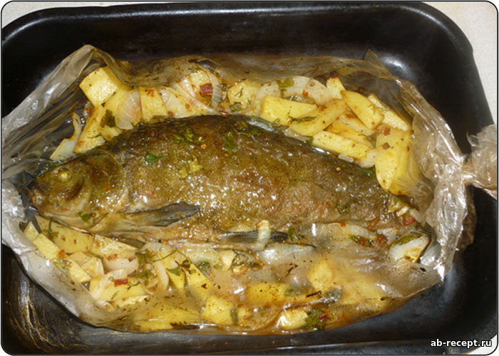 Рецепт: Линь запеченный с луком и картофелем - в духовке
