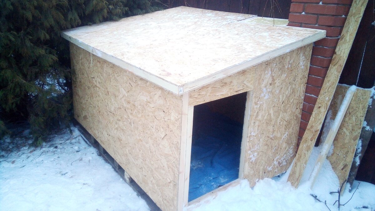 Мы строили, строили и наконец построили! Ура!