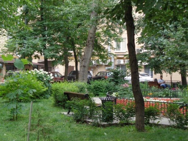 Тенистый зеленый двор — в новостройках такого почти нет.