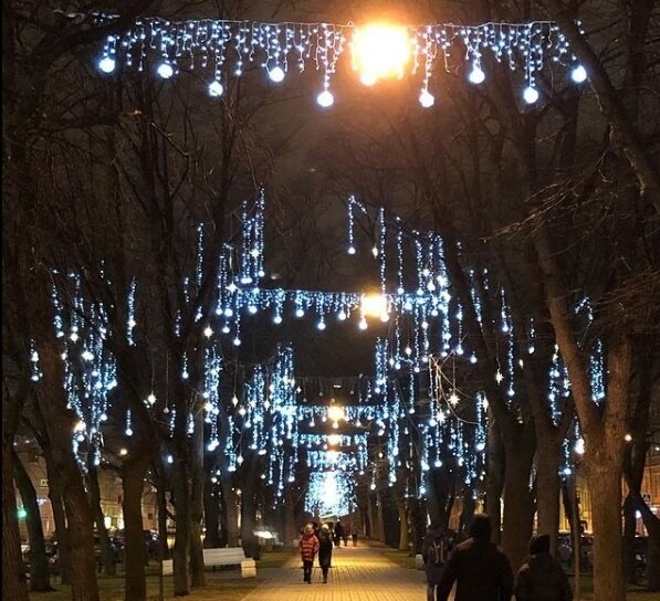 Конногвардейский бульвар в огоньках. Фото автора