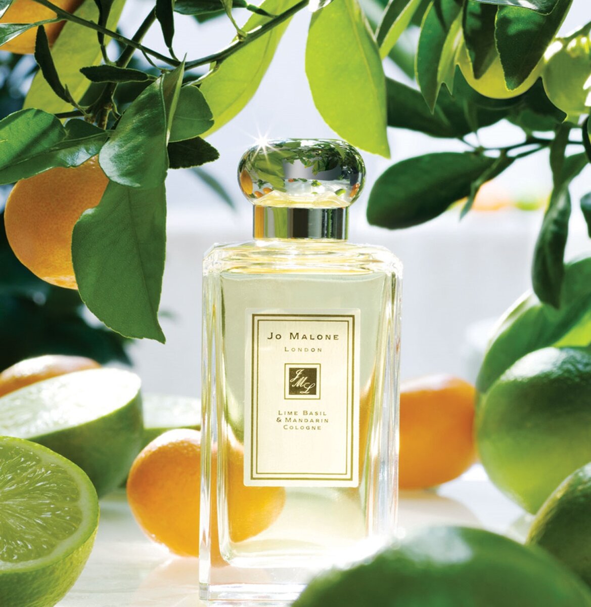 Прекрасно подойдет смелым и решительным личностям, которые не боятся экспериментов и идут в ногу со временем.