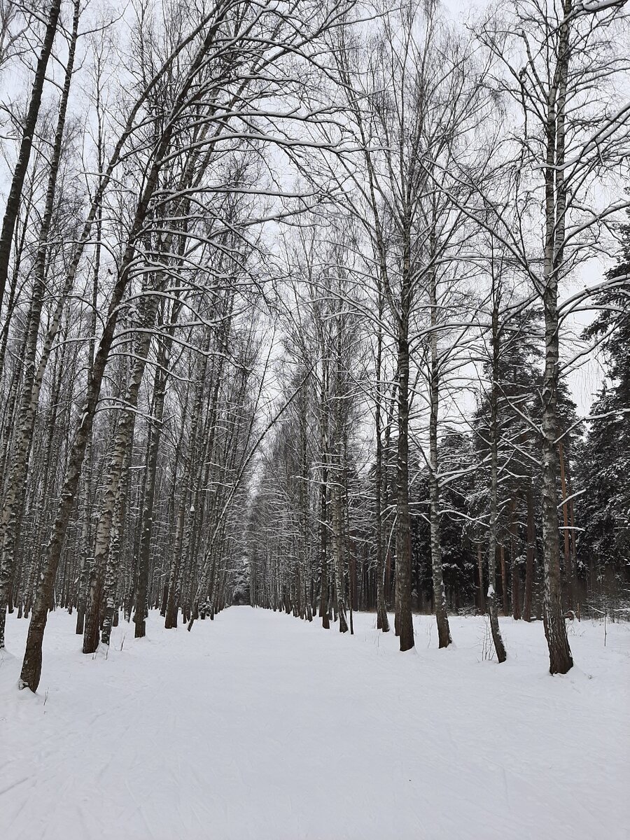 В загородном лесу на прогулке.