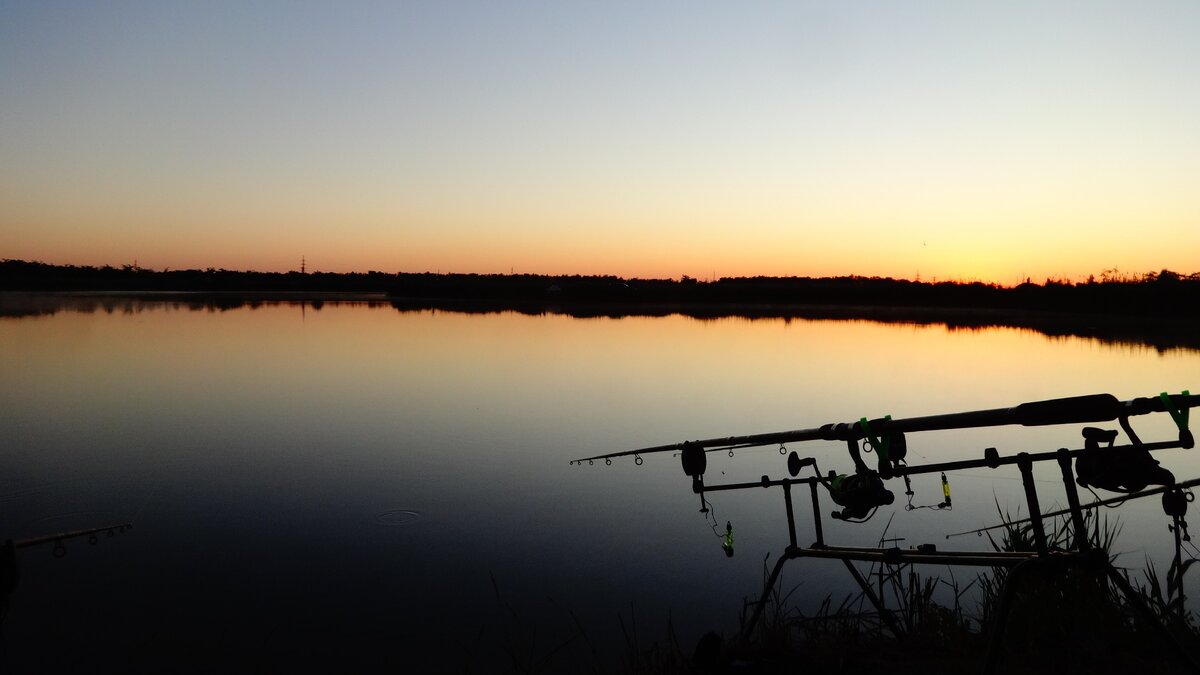 Фото автора.