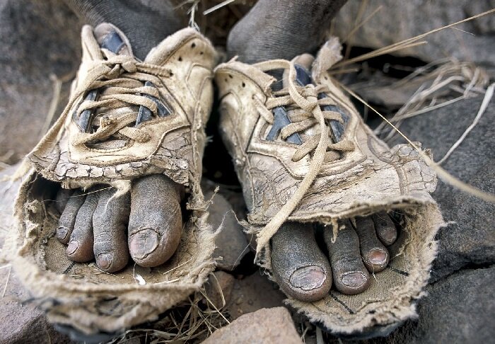 Фото Яндекс Картинки.