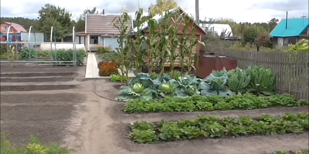 Нашли с женой решения для дачного участка.