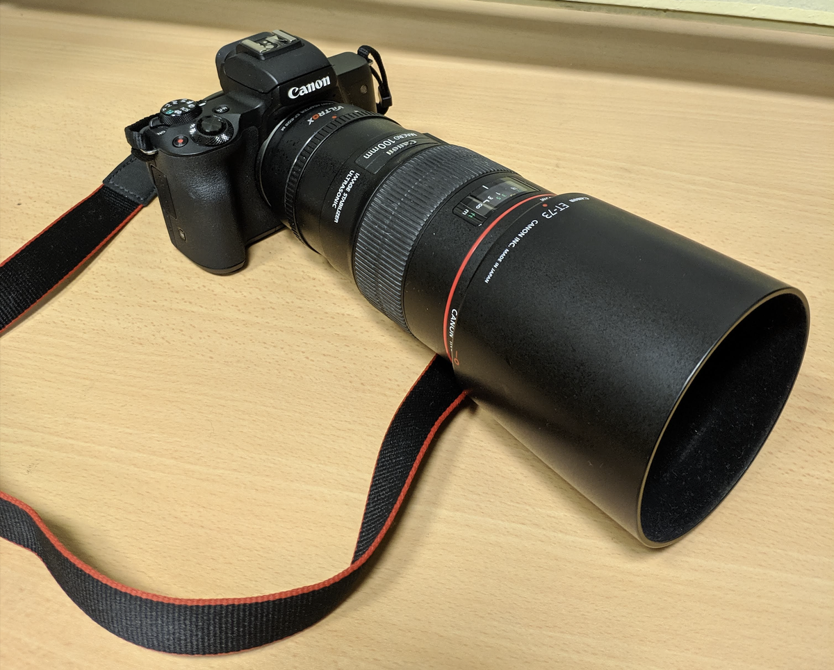 Моя недорогая беззеркалка Canon M50 с премиальным объективом Canon 100 mm