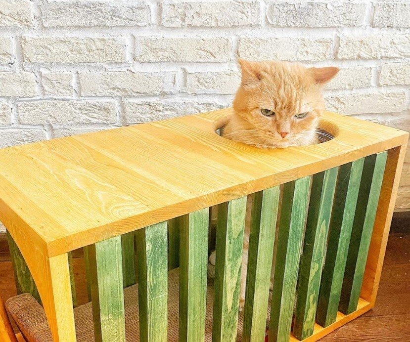 Мастер-класс “Кошкин дом”