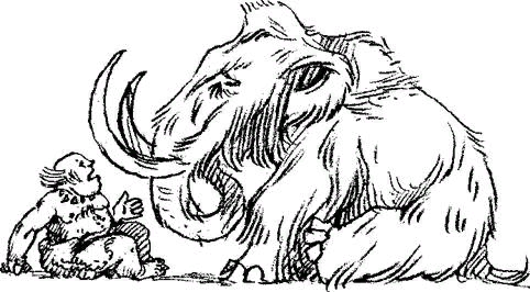 Первые попытки опросов для изучения общественного мнения