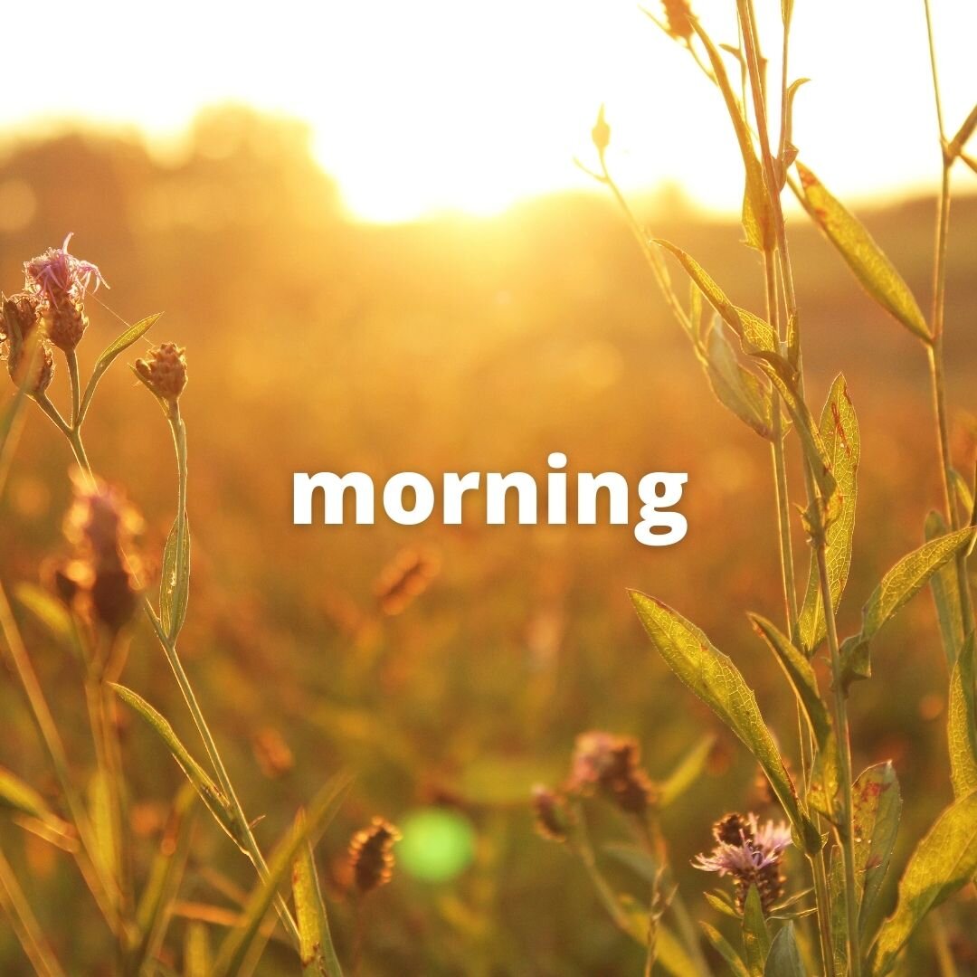 Morning! - Доброе утро!