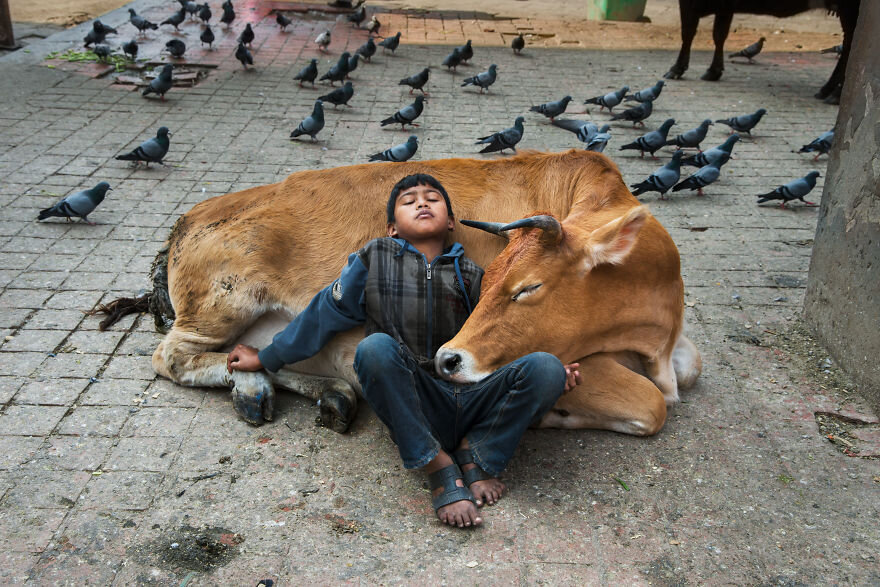 Катманду, Непал. Steve McCurry