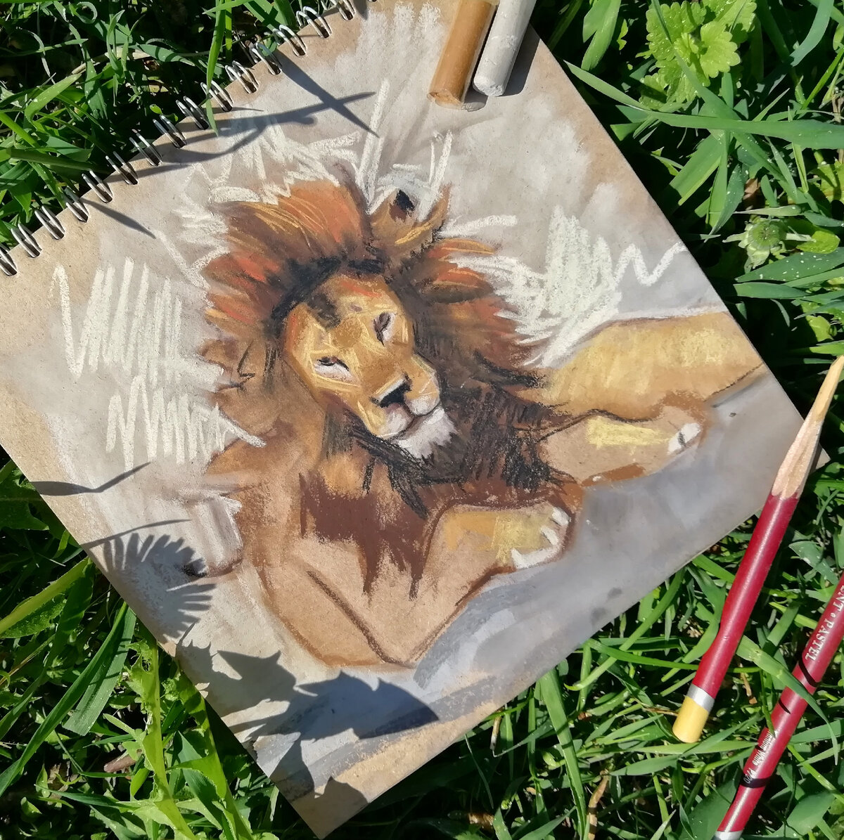 Мой лев нарисован сухой пастелью