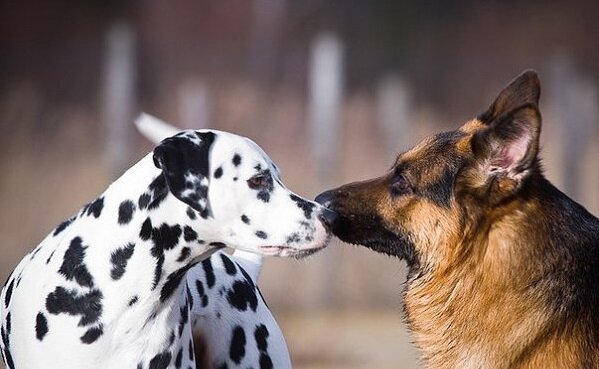 Источник fotostrana.ru