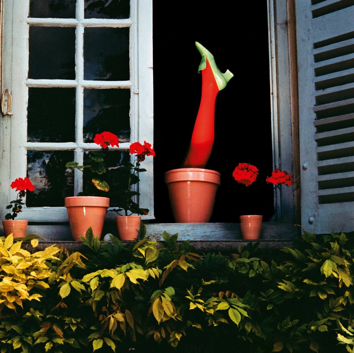 Guy Bourdin