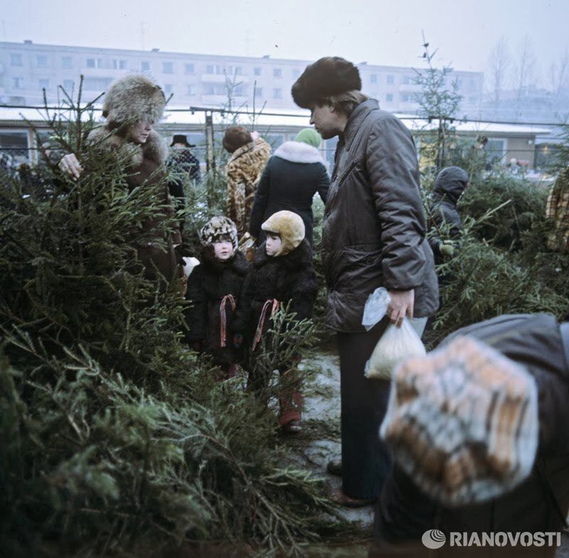 Елочный базар, 1980-е годы. Автор фото - Л. Устинов. Источник фото: soviet-postcards.com
