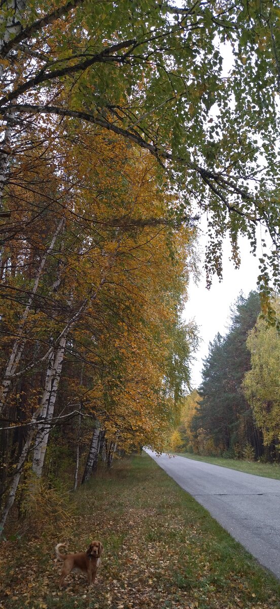 На прогулке, конец сентября 2021г