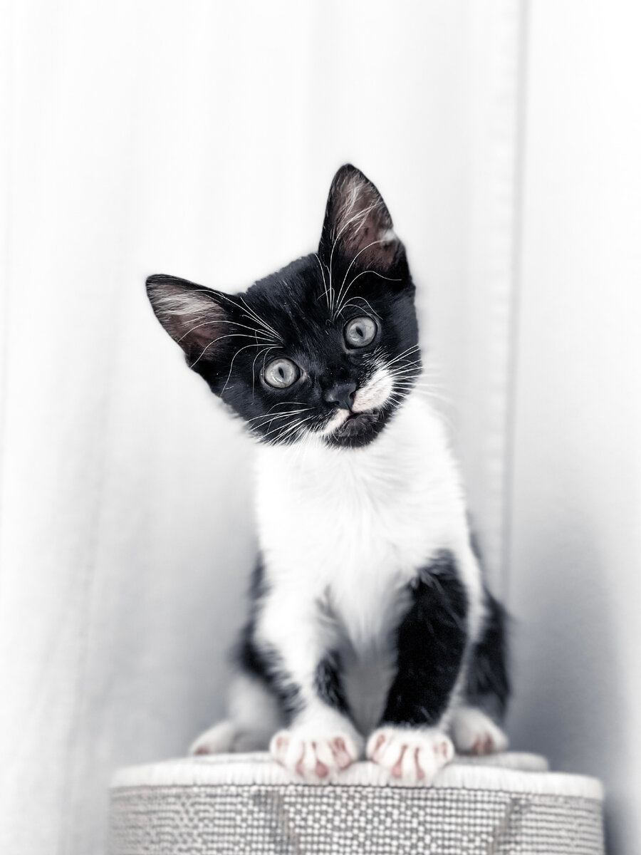 Приятно познакомиться