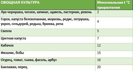 Количество семян в 1 грамме таблица цветы 
