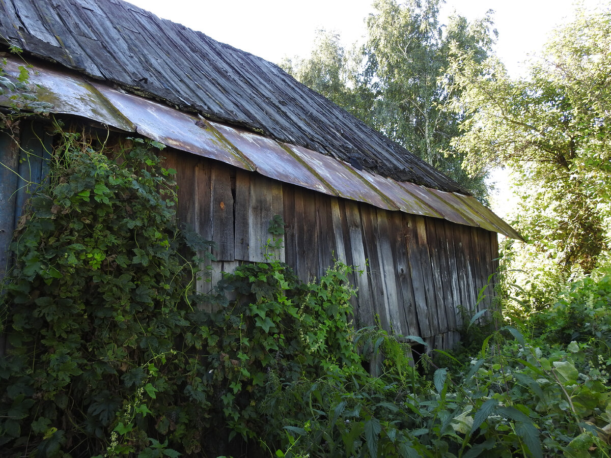 Вид на дом со стороны двора. Пристрой с железной крышей - это сенцы.