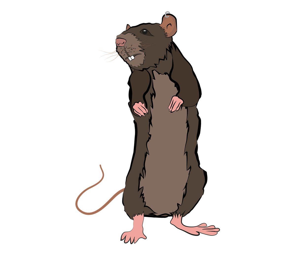 Рисунок с интернета
