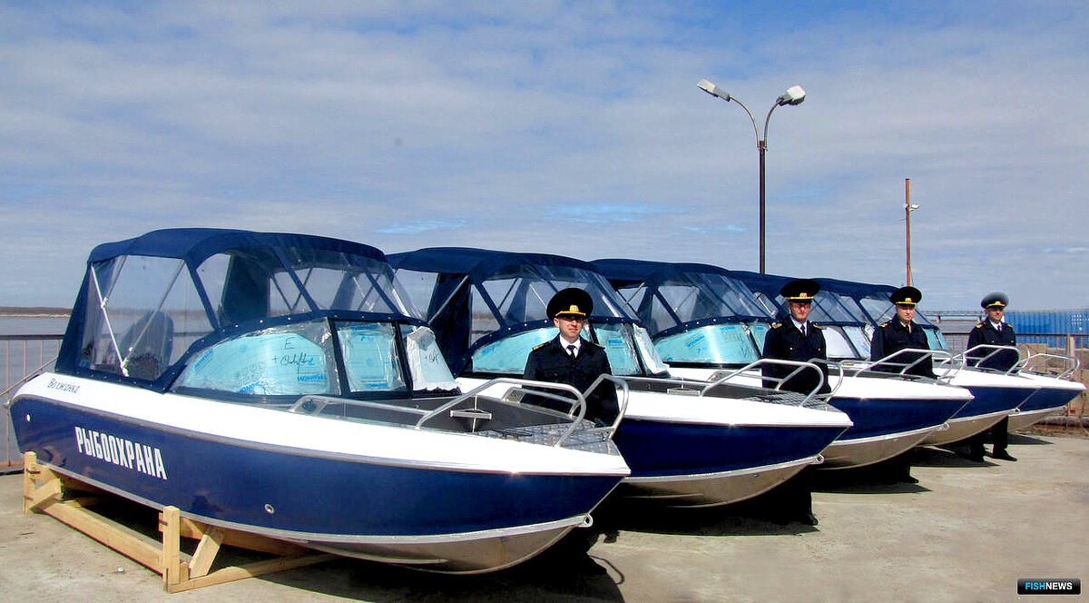 Фото из источников