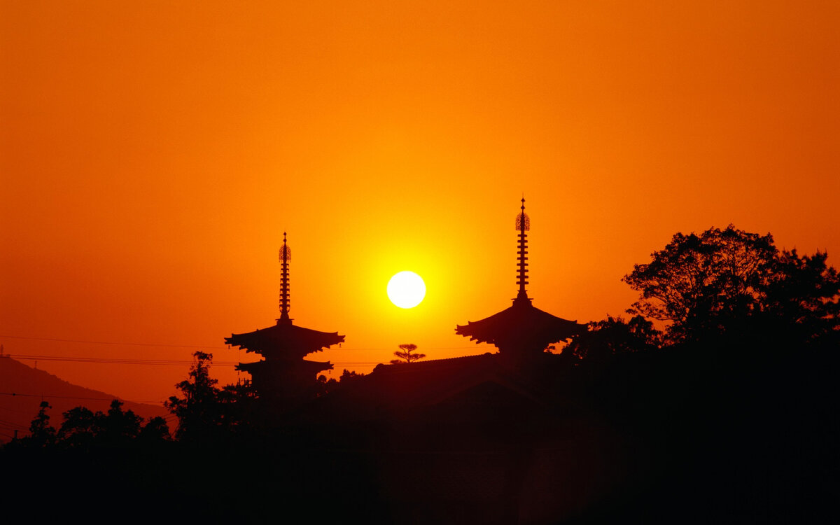 Фотография из открытого источника.