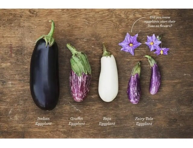 Фото взято из открытых источников 