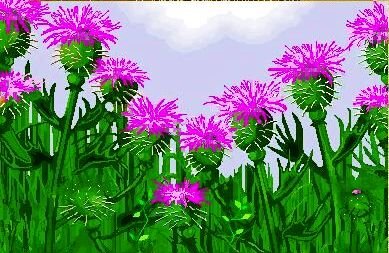 Терния и волчцы