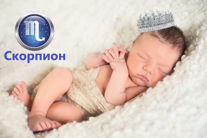 Когда рождается ребенок скорпион. Ребенок скорпион. знак зодиака скорпион для детей. грудничок скорпион. детки скорпиона.
