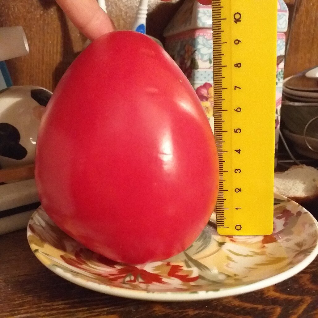 На фото сорт от бабушки. Названия нет. Похож на бычье сердце.