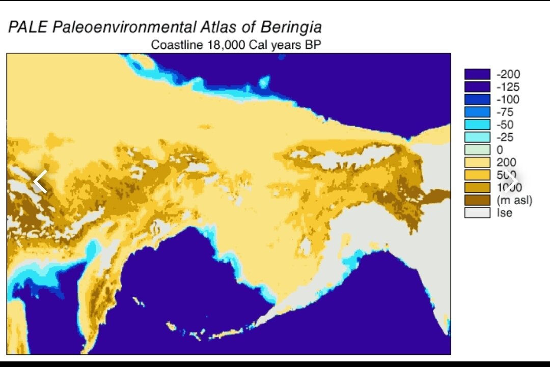 Берингия - территория между Камчаткой и Аляской 18000 лет назад