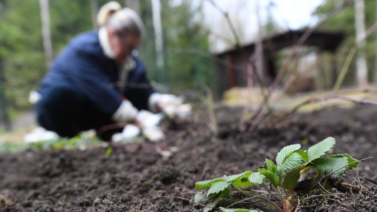 Фото: РИА Новости/Кирилл Каллиников