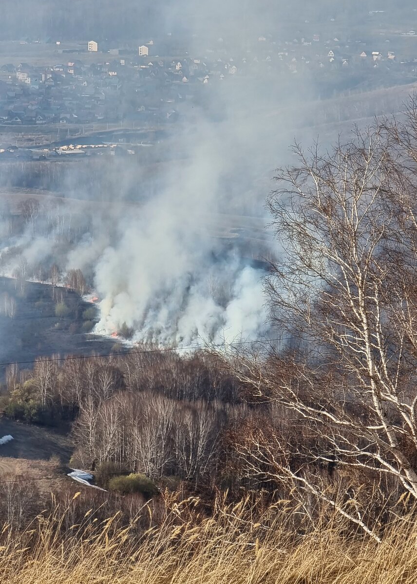 Фото Светланы Усановой.