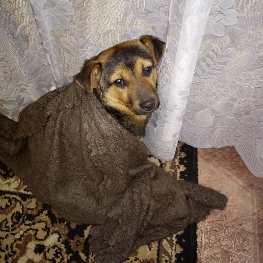 Люсенька