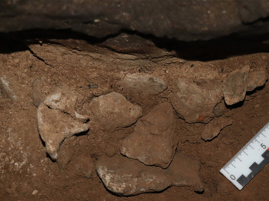     Частокол из зубов и костей