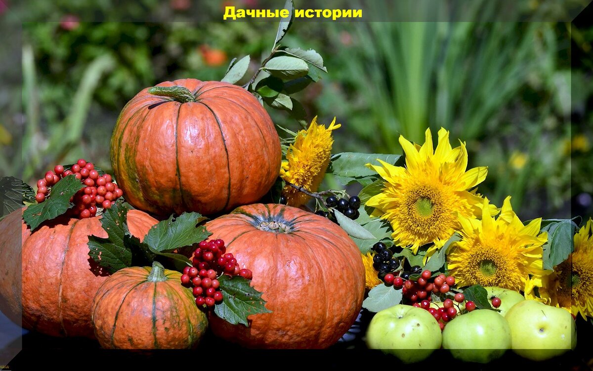 https://vk.com/photo-159774511_457255216