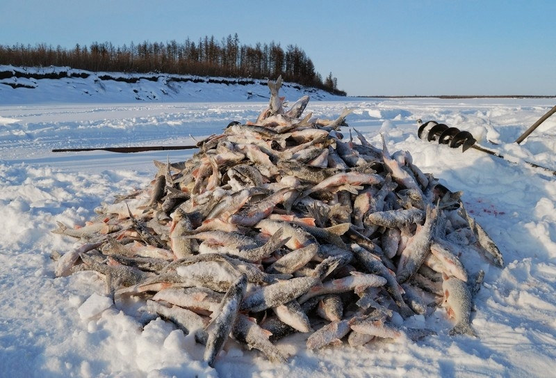 Зимняя рыбалка в декабре