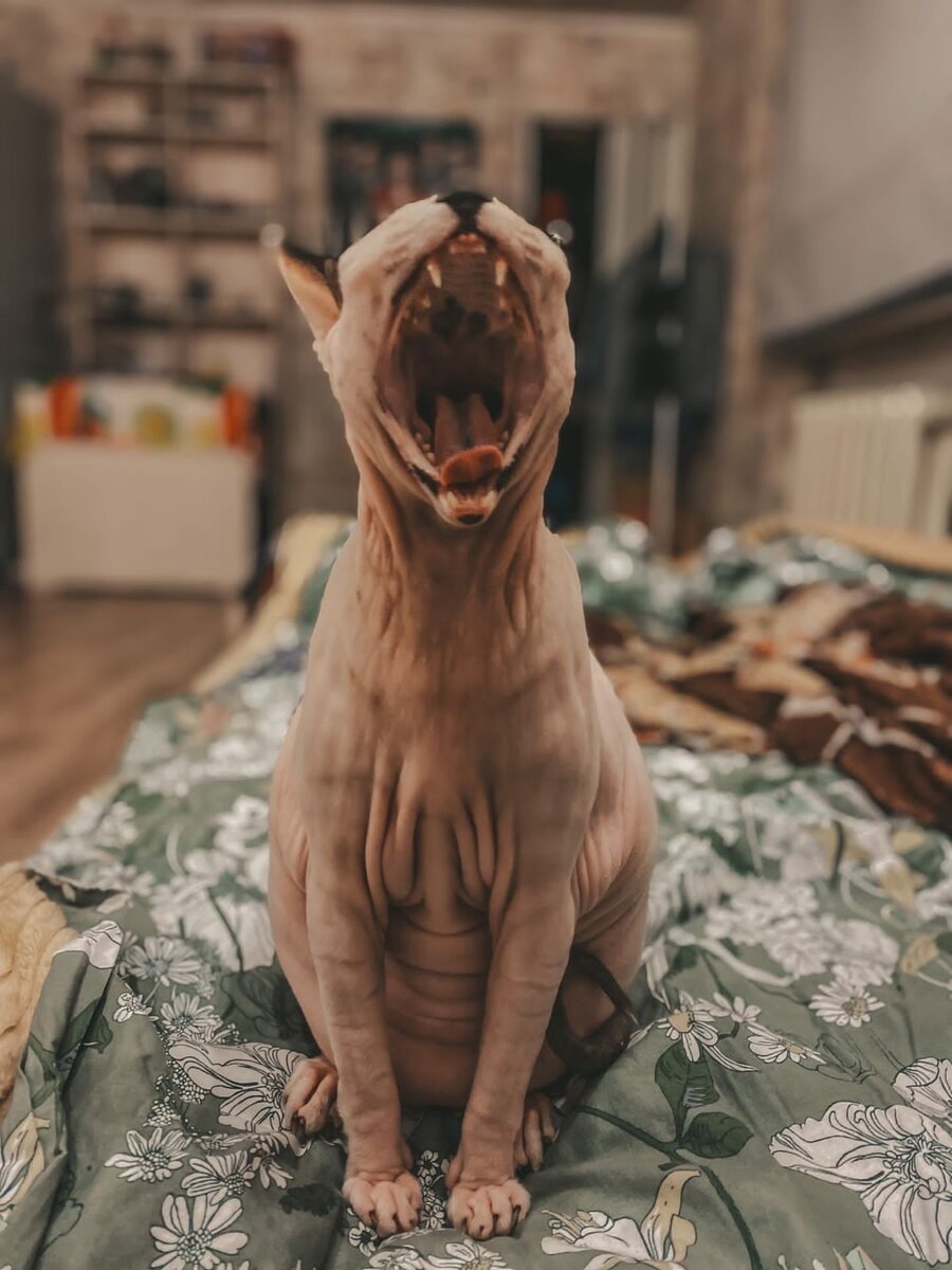 Реальное фото нашего красавчика