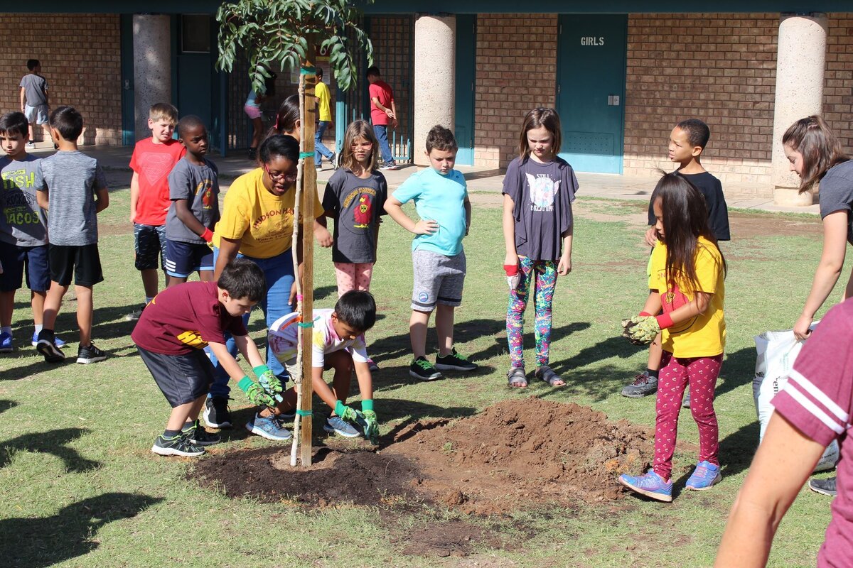 Фото с сайта treesmatter.org.