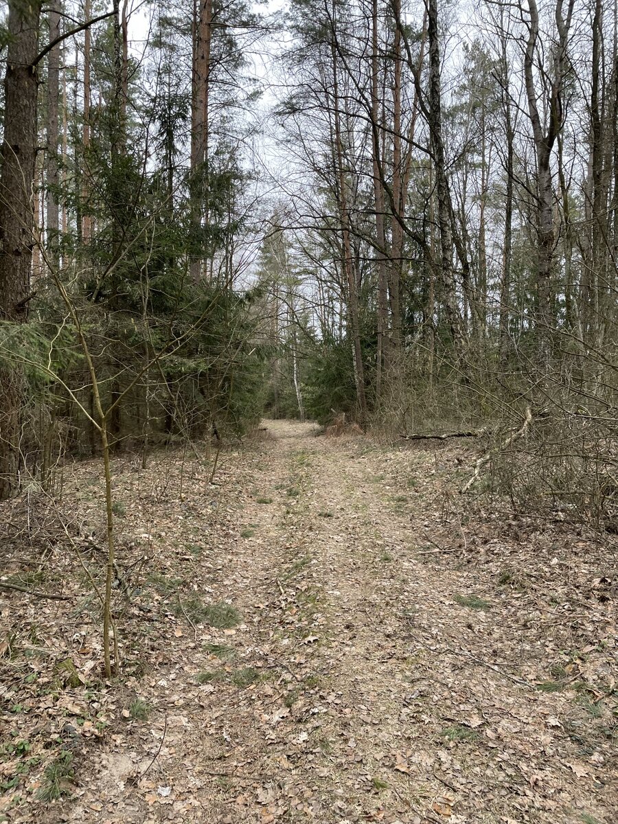 Иду от станции до первого места интереса