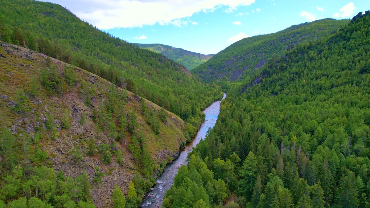 Вид на ущелье и реку с высоты птичьего полёта. Фото канала "Хозяин Реки"