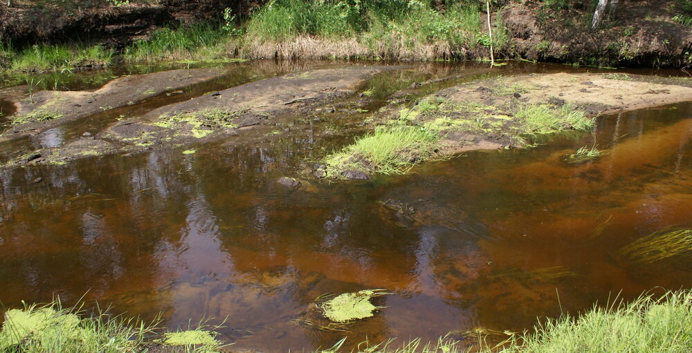 Вода на реке