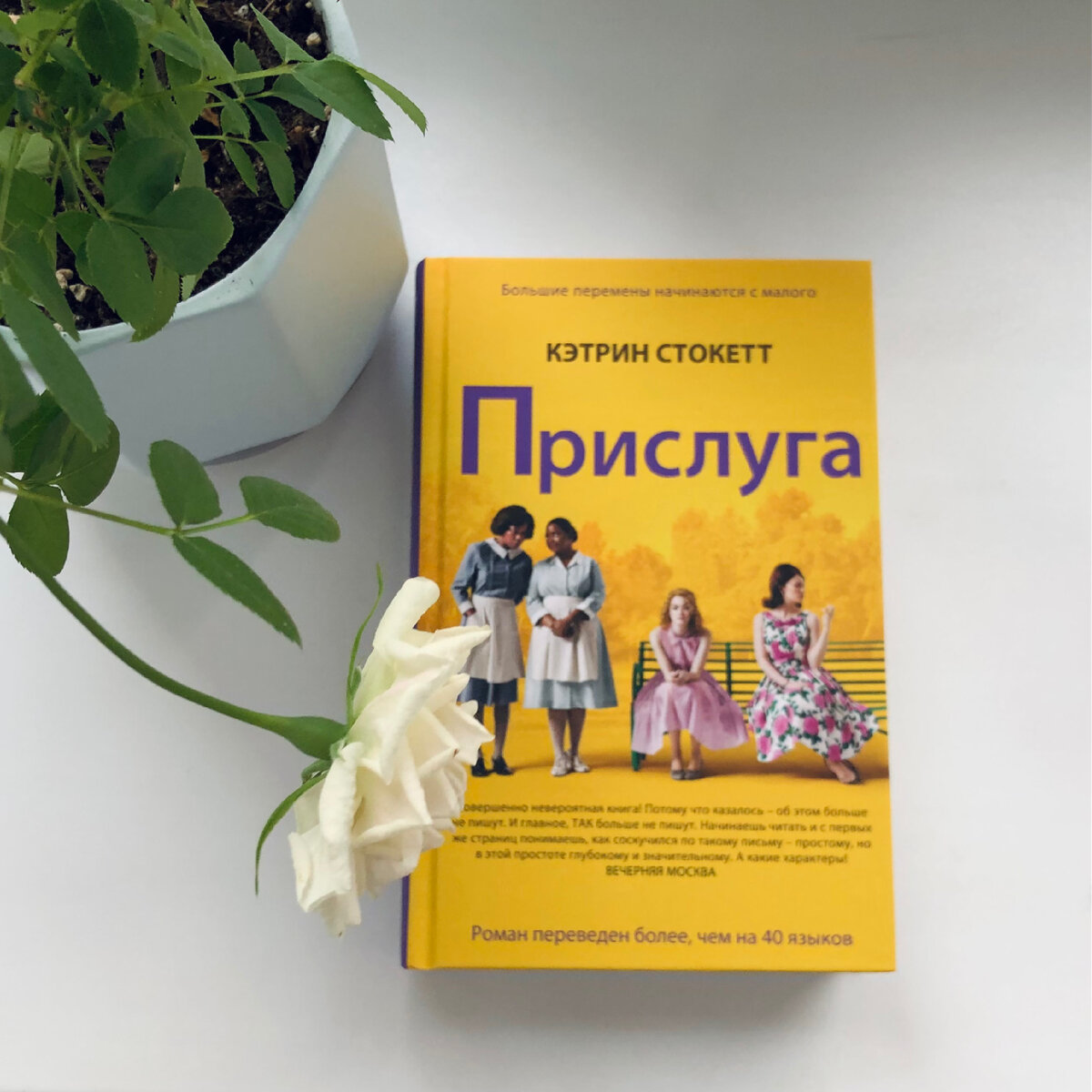 Книга прислуга кэтрин