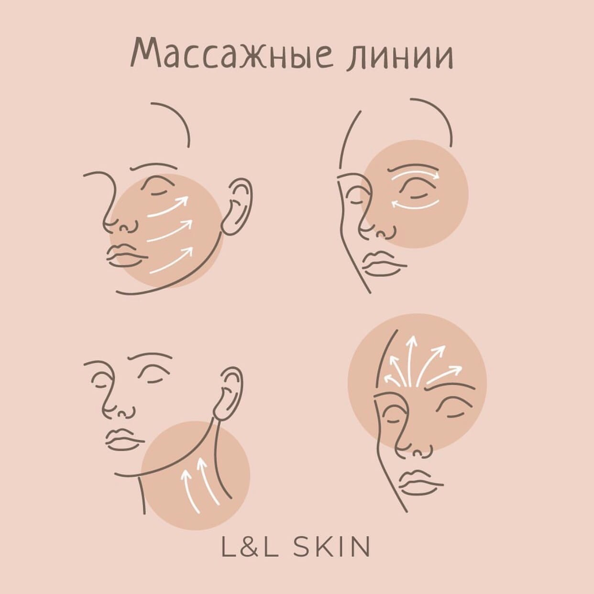 Массажные линии лица для нанесения крема и массажа схема