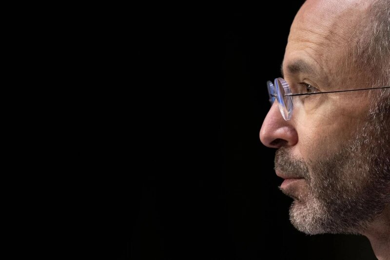 Европеоид. Профиль.