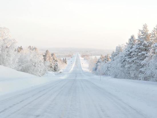     Фото unsplash.com